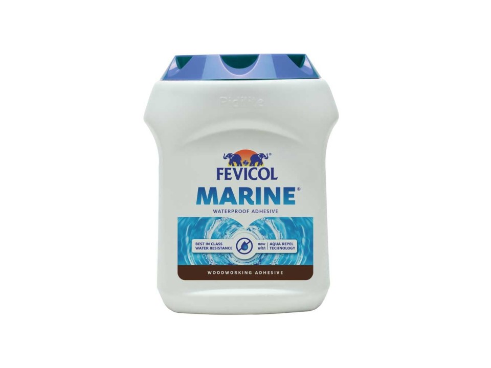 fevicol marine
